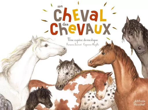 UN CHEVAL DES CHEVAUX - Françoise Laurent - RICOCHET EDITIONS