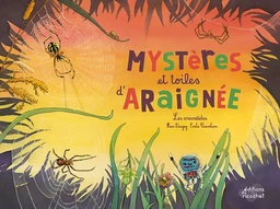 MYSTERES ET TOILES D'ARAIGNEE !