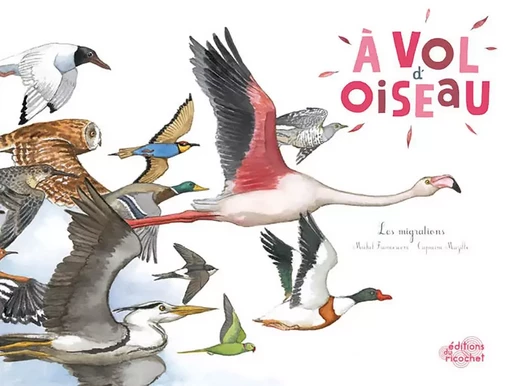 A VOL D'OISEAU - Michel Francesconi - RICOCHET EDITIONS