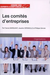 LES COMITES D ENTREPRISE