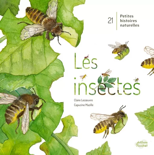 LES INSECTES ! - CLAIRE LECOEUVRE - RICOCHET EDITIONS