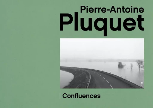 PIERRE-ANTOINE PLUQUET CONFLUENCES -  MUSEES D'ANGERS - MUSEES D ANGERS