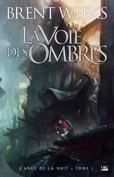 L'Ange de la Nuit, T1 : La Voie des ombres