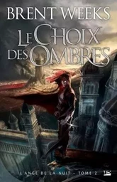 L'Ange de la Nuit, T2 : Le Choix des ombres