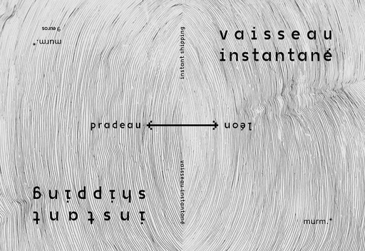 vaisseau instantané / instant shipping - Léon Pradeau - MURMURATIONS