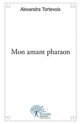 Tribulations d'un paradigme, esthétique morale et politique