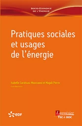 Pratiques sociales et usages de l'énergie