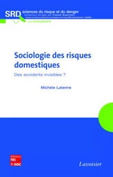 Sociologie des risques domestiques. Des accidents invisibles ?