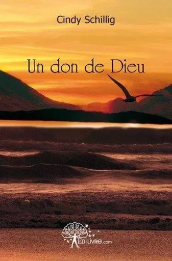 Un don de dieu - Cindy Schillig - EDILIVRE