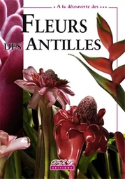 FLEUR DES ANTILLES