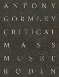 Antony Gormley Critical Mass