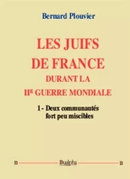 Les Juifs de France durant la IIe Guerre mondiale