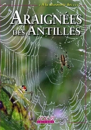 Araignées des Antilles