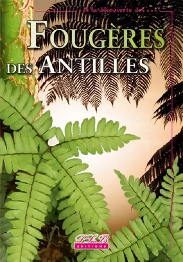 Fougères et plantes alliées des Petites Antilles -  - PLB