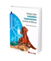 Gestion des maladies respiratoires canines et félines