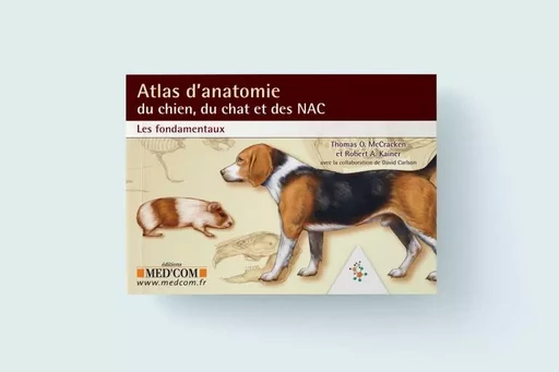 ATLAS D'ANATOMIE DU CHIEN DU CHAT ET DES NAC LES FONDAMENTAUX - Robert A. Kainer - MED COM