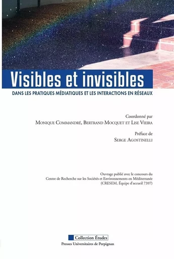 Visibles et invisibles dans les pratiques médiatiques et les interactions en réseaux - Monique Commandré, Bertrand Mocquet, Lise Vieira - PU PERPIGNAN