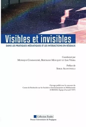 Visibles et invisibles dans les pratiques médiatiques et les interactions en réseaux