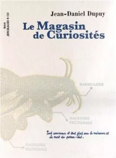 Le magasin de curiosités -  - AENCRAGES ET CO