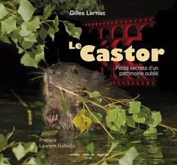 Le castor - petits secrets d'un patrimoine oublié