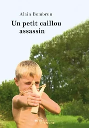 Un petit caillou assassin