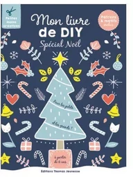 Mon livre de DIY spécial Noel 