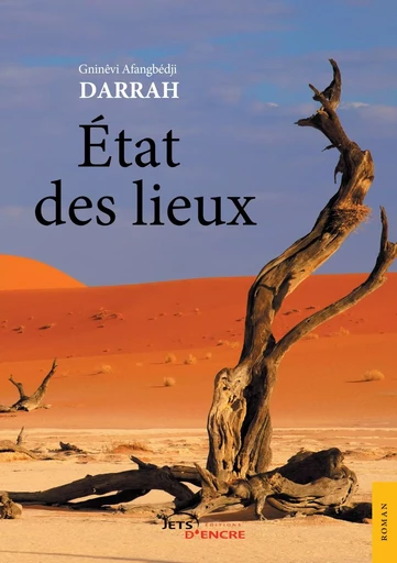 État des lieux - Gninêvi Afangbédji Darrah - JETS ENCRE