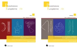 Caractérisation des assemblages métalliques d’une agglomération celtique