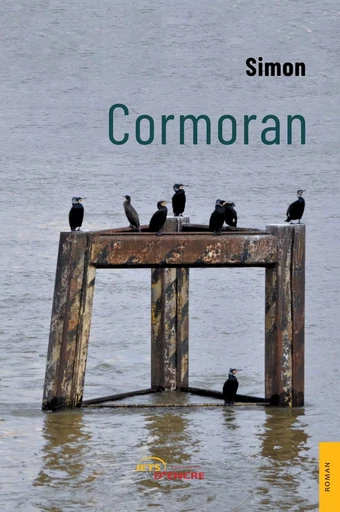 Cormoran -  Simon - JETS ENCRE