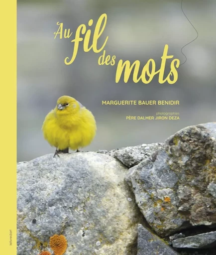 Au fil des mots -  - LELIVREDART