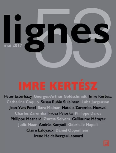 Revue Lignes N°53 -  Collectif - Nouvelles Éditions Lignes