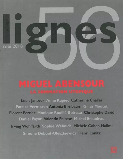 Revue Lignes n°56 -  Collectif - Nouvelles Éditions Lignes