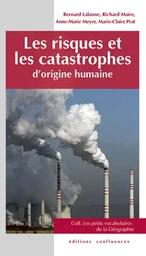 Les risques et les catastrophes d'origine humaine