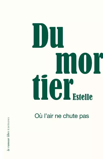 Où l'air ne chute pas - Estelle Dumortier - RUMEUR LIBRE