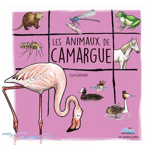 Les animaux de camargue - Cyril GIRARD - MEDITERRANEUS