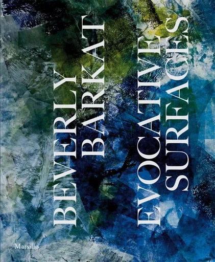 Beverly Barkat: Evocative Surfaces /anglais -  - DAP ARTBOOK