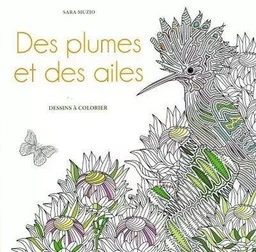 Des plumes et des ailes - Dessins à colorier