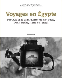 Voyages en Égypte - photographes primitivistes du XIXe siècle, Denis Roche, Pierre de Fenoyl