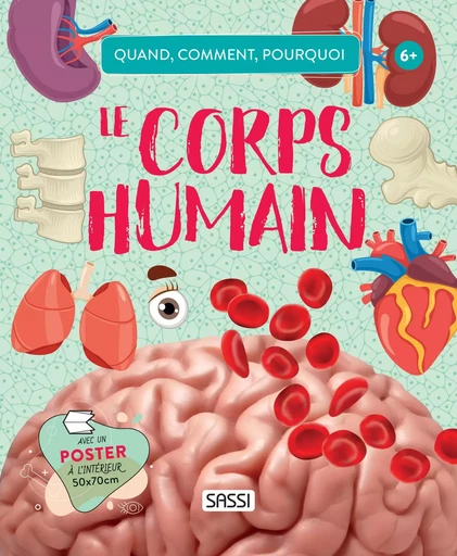 Quand, comment, pourquoi - Le corps humain - Irena Trevisan - SASSI