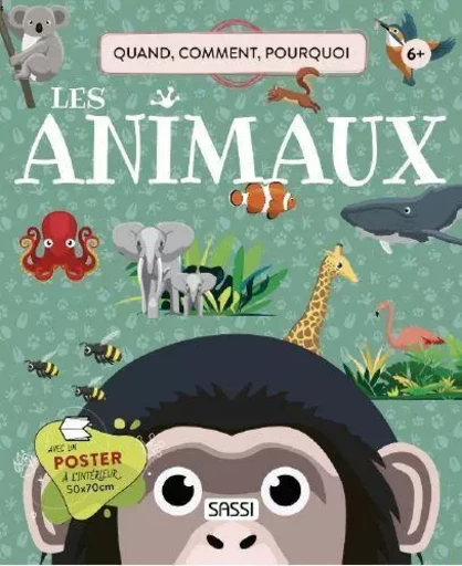  Les animaux - Quoi, comment, pourquoi - Ester Tome, Giulia Pesavento, Nadia Fabris, Mattia Cerato - SASSI