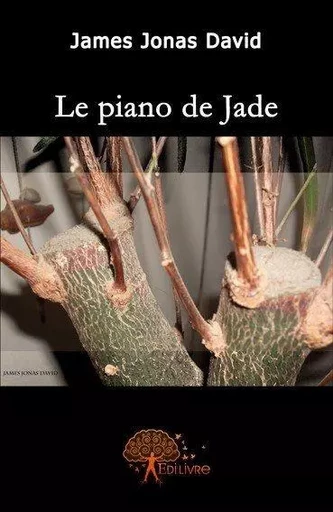 Le piano de jade - james jonas David - EDILIVRE