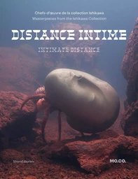 DISTANCE INTIME, LES CHEFS D'OEUVRE DE LA COLLECTION ISHIKAWA