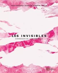 Les Invisibles - Volume 2