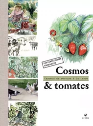 Cosmos et tomates - Carnets de retours à la terre