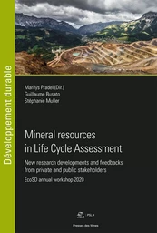 Mineral resources in Life Cycle Assessment