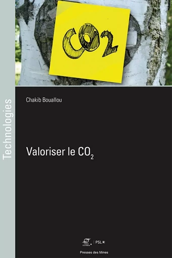 Valoriser le CO2 - Chakib Bouallou - ECOLE DES MINES