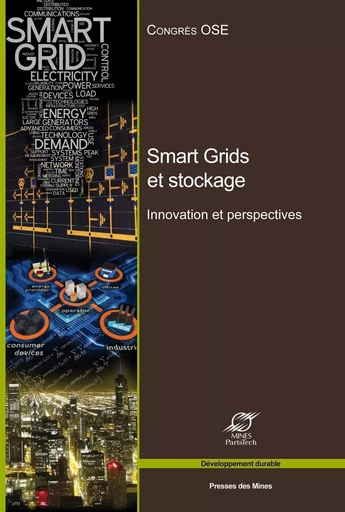 Smart Grids et stockage : innovations et perspectives - Nadia Maïzi, Adrien Wacziarg - ECOLE DES MINES