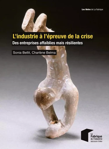 L'industrie à l'épreuve de la crise - Sonia Bellit, Charlène Belma - ECOLE DES MINES