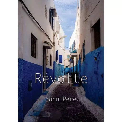 Révolte - Yann PEREZ - YANN PEREZ