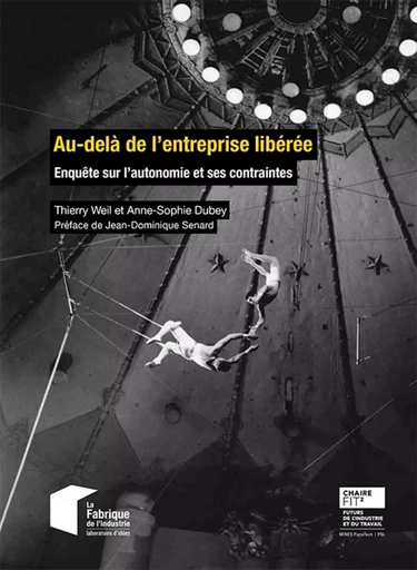 Au-delà de l'entreprise libérée - Thierry Weil, Anne-Sophie Dubey - ECOLE DES MINES